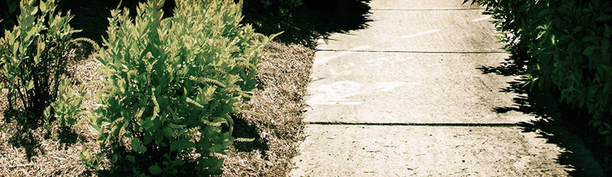 怎么去攻击一个网站与防护